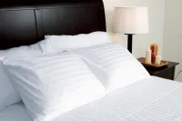 White Satin Stripe Fabric